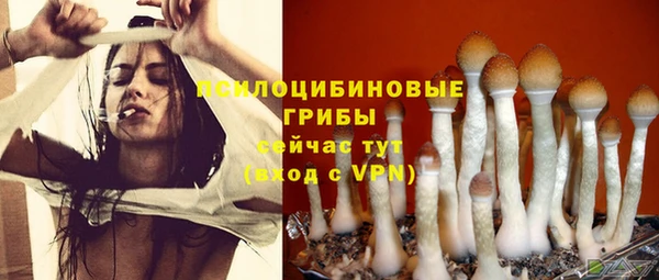 apvp Верхний Тагил